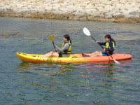 DSC05434