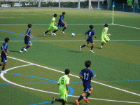 DSCN5910