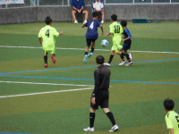 DSCN5936