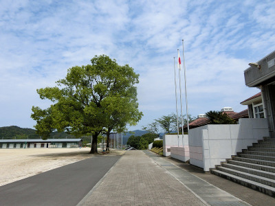 CIMG5144