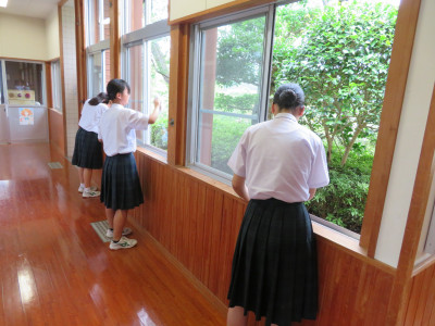美化活動②
