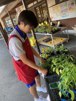 漣３