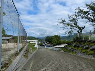 CIMG5729