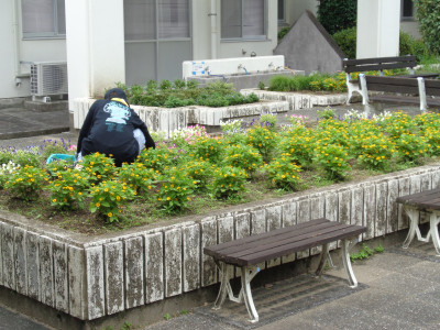 花壇の手入れ